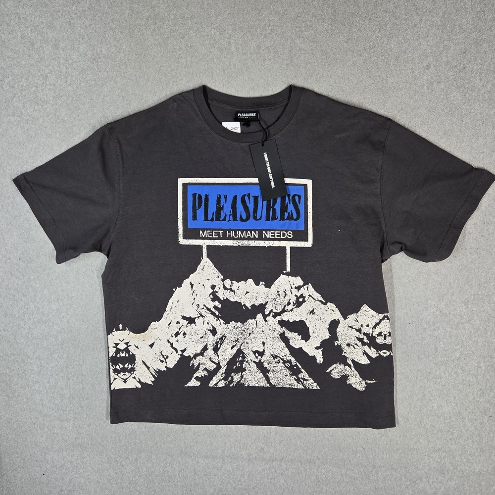 PLEASURES Men Shirt XL Charcoal Gray Meets Human Needs Mountain Graphic NWT
